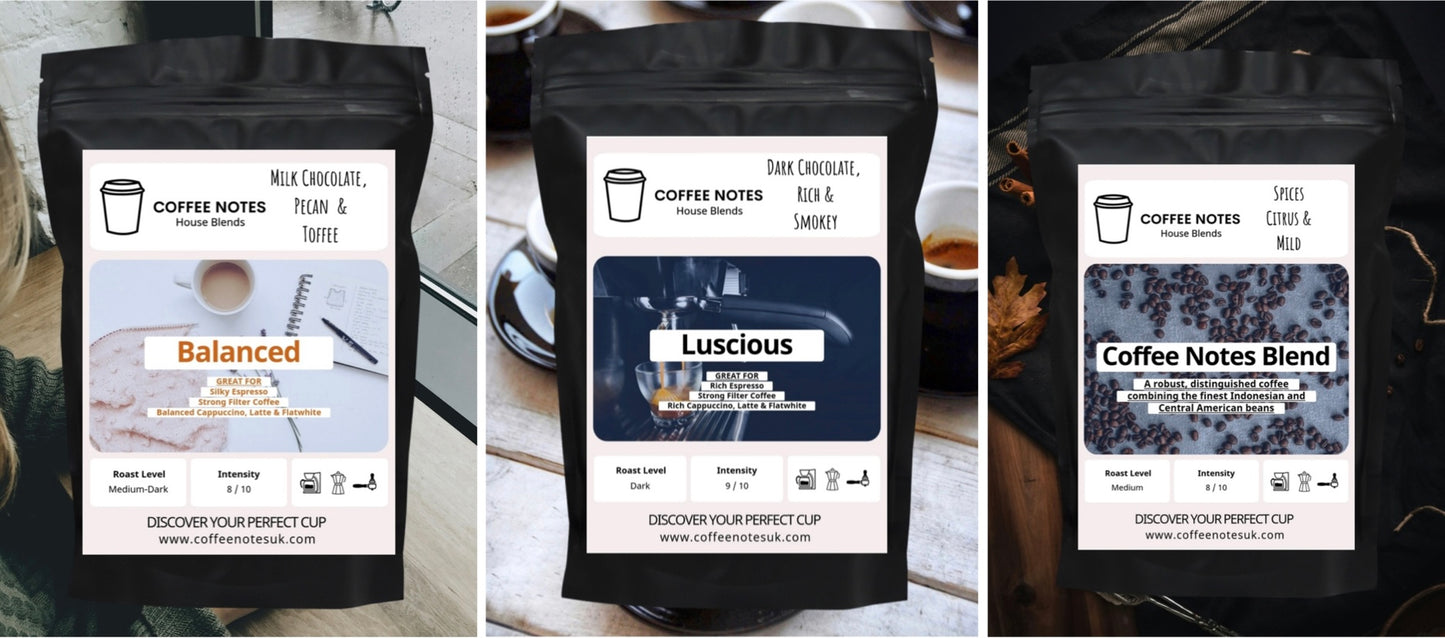 Coffee Notes Explorer Speciality Coffee Beans Bundle - Fresh Roasted